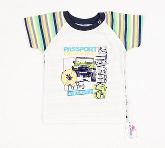 Комплект для мальчика (футболка+шорты) Фламинго темно-синий 587-129 - фото