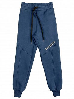 Утепленные спортивные штаны для мальчика JakPani синие 1501 - цена