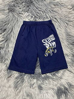 Комплект для мальчика футболка и шорты серый Road 5010-117 - размеры