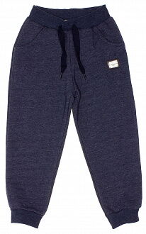 Спортивные штаны Breeze синие 13892 - цена
