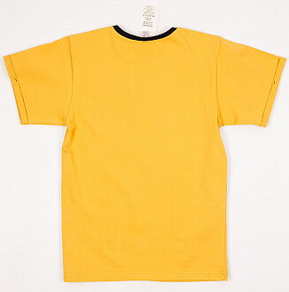 Футболка для мальчика Денди Джойстики горчичная 6234 - фото