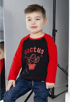 Реглан для мальчика Kruton Cactus красный 1001 - размеры