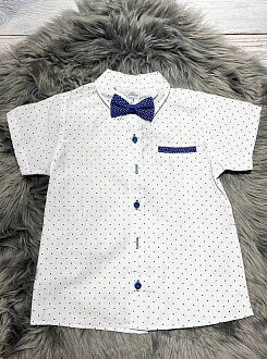 Костюм для мальчика Джентельмен Terry синий 6225 - размеры