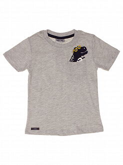 Комплект футболка и шорты для мальчика Hoity-toity серый 0522 - размеры
