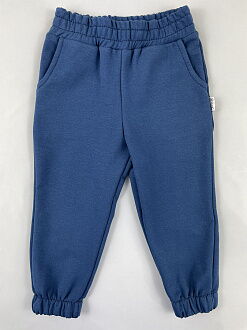 Спортивные штаны Semejka синие 0403 - цена
