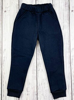 Утепленные спортивные штаны Фламинго темно-синие 824-341 - картинка