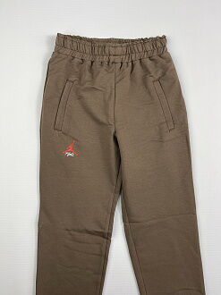 Спортивные штаны для мальчика Kidzo коричневые 2108-2 - цена