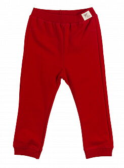 Спортивные штаны Breeze красные 11531 - цена