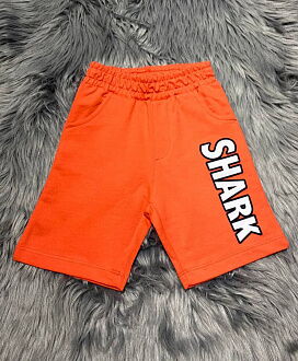 Комплект футболка и шорты для мальчика Breeze Shark серый 15176 - размеры