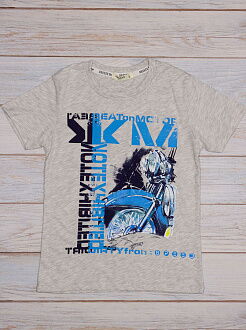 Комплект футболка и шорты для мальчика Breeze серый 14512 - размеры