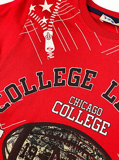 Футболка для мальчика TEAM 38 красная - размеры