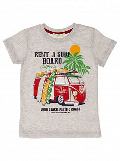 Футболка для мальчика Breeze Surf серая 13383 - фото