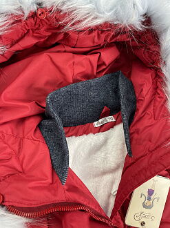 Куртка зимняя для девочки SUZIE красная Грейс ПТ-38711 - купить