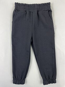 Спортивные штаны детские Semejka темно-синие 0403 - цена