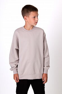 Базовый детский свитшот Mevis серый 5262-04 - цена