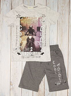 Комплект футболка и шорты для мальчика Breeze Cool Dude серый 15397 - фото