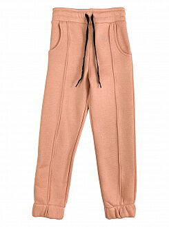 Утепленные спортивные штаны для девочки JakPani пудра 1502 - цена