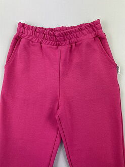Спортивные штаны для девочки Semejka малиновые 0403 - фото