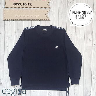 Реглан для мальчика Cegisa синий 8053 - цена