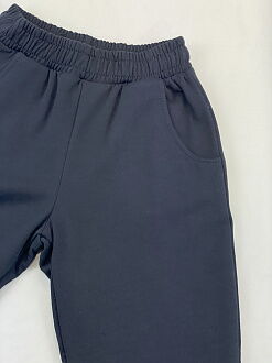 Утепленный спортивный костюм детский Фламинго Dream plan темно-синий 716-311 - размеры