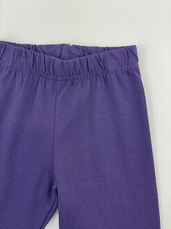 Лосины для девочки Robinzone фиолетовые 842/862/872 - фото