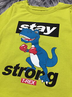 Реглан для мальчика Фламинго T-REX оливковый 186-416 - фото