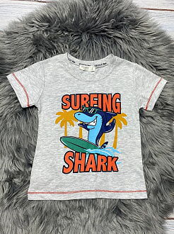 Комплект футболка и шорты для мальчика Breeze Shark серый 15176 - фото