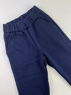 Утепленные спортивные штаны Фламинго темно-синие 961-341 - фото