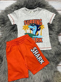 Комплект футболка и шорты для мальчика Breeze Shark серый 15176 - цена