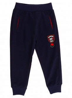 Спортивные штаны для мальчика Sincere темно-синие 2309 - цена