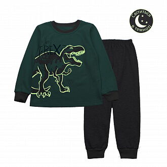 Утепленная пижама для мальчика Фламинго Динозавр ментоловая 329-312 - фото