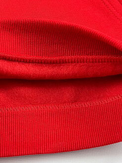 Утепленная кофта-худи с капюшоном Фламинго красная 930-341 - размеры