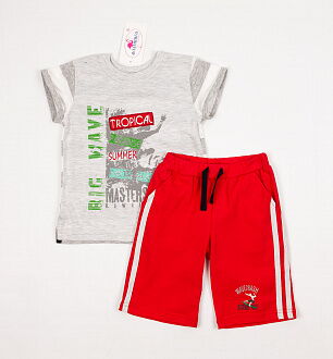 Комплект для мальчика (футболка+шорты) Фламинго серый 905-110 - цена