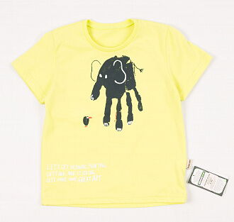 Комплект летний (футболка+шорты) для мальчика  Robinzone салатовый КС-204 - фото