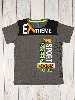 Футболка для мальчика Patika Kids Extreme темно-серая 6012 - фото