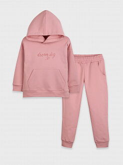 Утепленный спортивный костюм для девочки Фламинго Dream big пудра 716-311 - цена