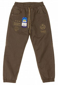 Утепленные брюки на махре для мальчика Hiwro хаки 711 - цена