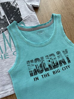 Комплект майка и футболка для мальчика Фламинго серый 983-416 - картинка