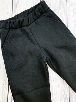 Утепленные спортивные штаны Фламинго черные 824-341 - картинка