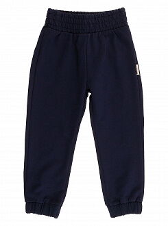 Спортивные штаны для мальчика Robinzone темно-синие ШТ-133 - цена