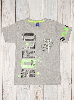Футболка для мальчика Patika Kids World серая 352 - фото