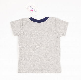 Комплект для мальчика (футболка+шорты) Фламинго серый 688-110 - фотография