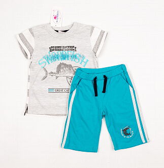 Комплект для мальчика (футболка+шорты) Фламинго голубой 905-110 - цена