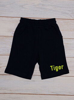 Комплект футболка и шорты для мальчика Breeze Tiger салатовый 14379 - размеры