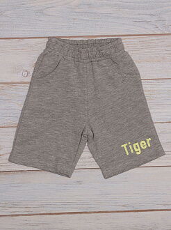 Комплект футболка и шорты для мальчика Breeze Tiger серый 14379 - картинка