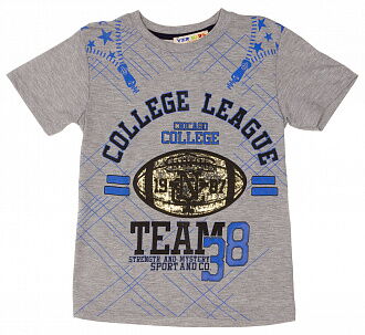 Футболка для мальчика TEAM 38 серая - фото