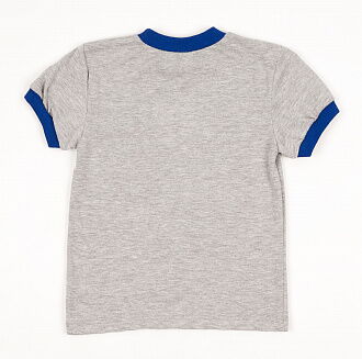 Футболка для мальчика Valeri tex серая 1817-55-232 - размеры