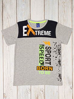 Футболка для мальчика Patika Kids Extreme серая 6012 - фото