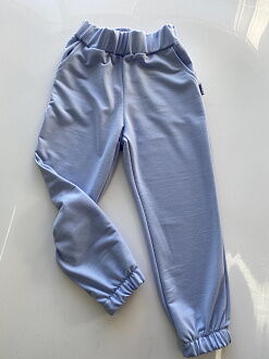 Спортивные штаны Semejka голубые 1006 - цена