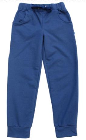 Спортивні штани для хлопчика Minikin темно-сині 1517807 - ціна
